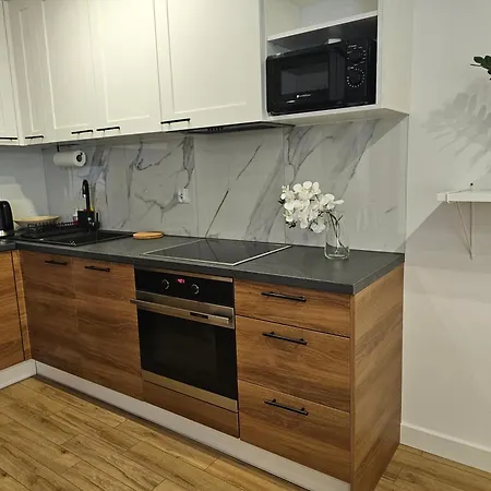 Urban Opolska 10 No 67a - Balcony - Air Condition - Rooftop Garden - Free Garage Apartment Katowice