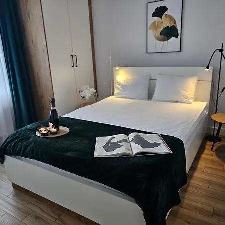 Urban Opolska 10 No 67a - Balcony - Air Condition - Rooftop Garden - Free Garage * Katowice